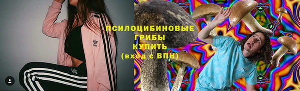 PSILOCYBIN Алексеевка